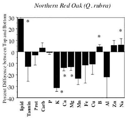 Squirrel-Seed Interactions: The Evolutionary Strategies and Impact of Squirrels as Both Seed Predators and Seed Dispersers